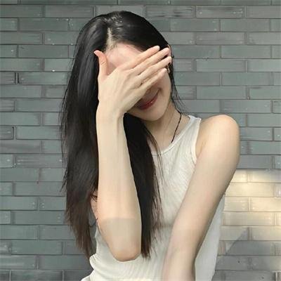 灵通汪星人