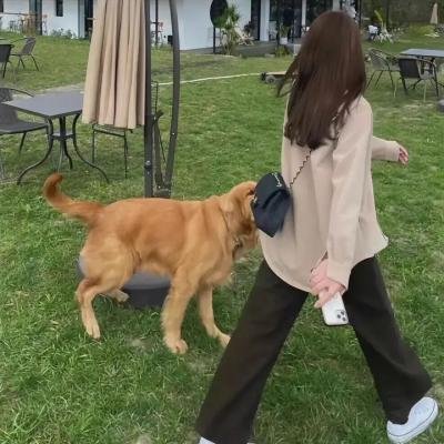狐狸禁猎期